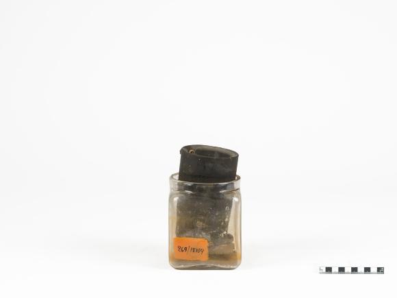 PPM 246_1